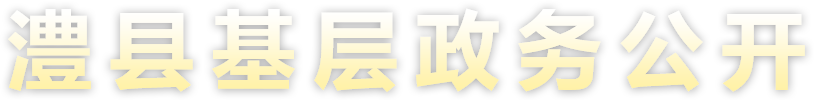 澧县人民政府