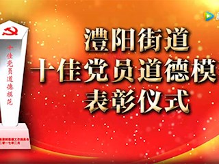 澧阳街道十佳党员道德模范表彰仪式