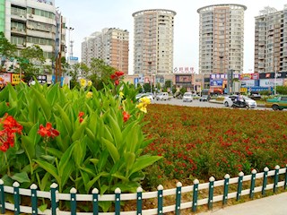 街心花园