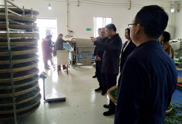 cb1abb556c414e36acd3976e326fed58.jpg