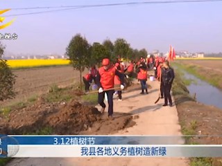 澧县各地义务植树造新绿