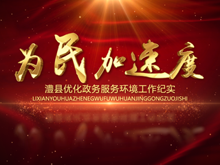 为民加速度——澧县优化政务服务环境工作纪实