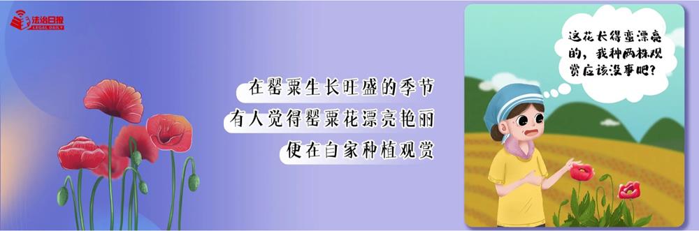 9254239f4b644e3eaa8dd8a617f44ea6.jpg