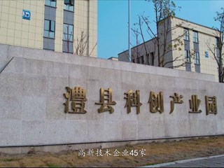 有澧更精彩 邀您共辉煌（2023版）