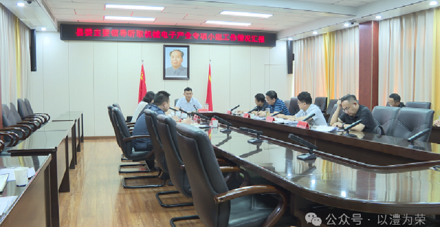 王启武听取机械电子产业专项小组工作情况汇报