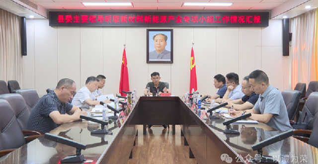 王启武听取新材料新能源产业专项小组工作情况汇报