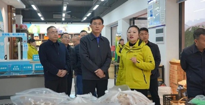 王启武调研电商行业发展