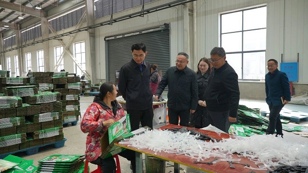 微信图片_2026-02-03_161133_274