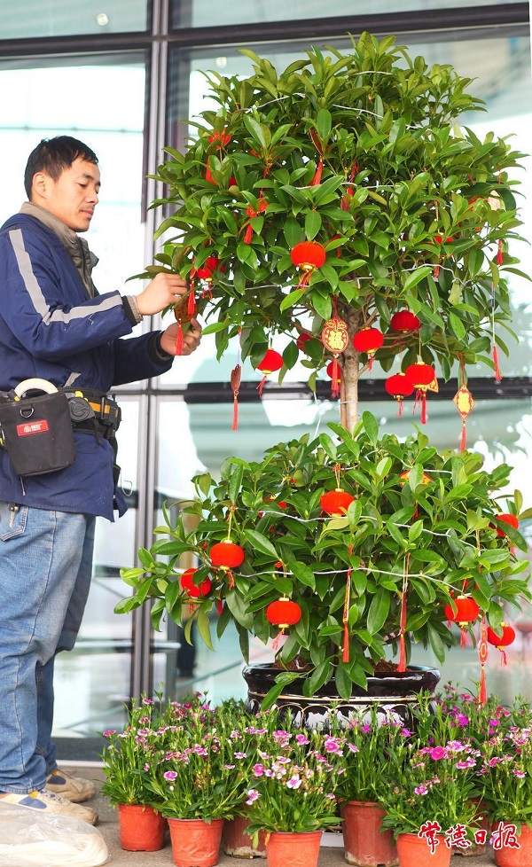 c69e-e-b54d-c35df7f6a5bc_batchwm