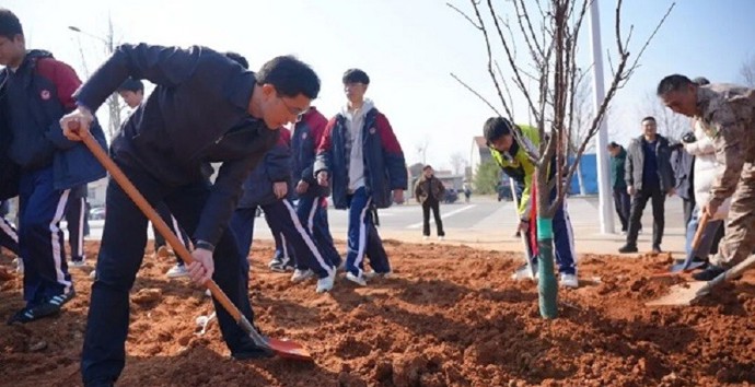 澧县开展义务植树活动