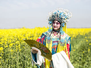 澧南春潮涌金浪 花海非遗绘春章