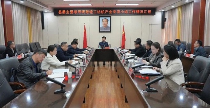 【拼搏有澧进行时】王启武听取轻工纺织产业专项小组工作情况汇报