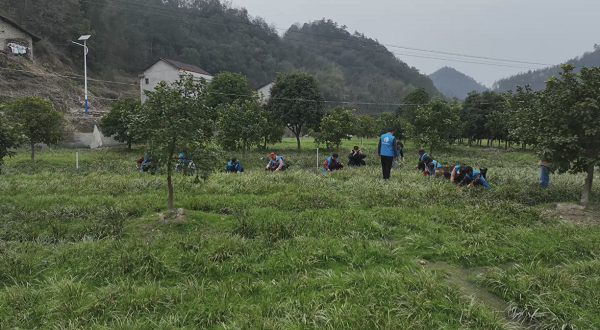 afe2c155a7cdeb875dd73cb3bb60578a