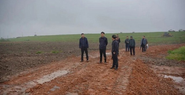 【树立和践行正确政绩观】王启武赴澧南镇调研并开展巡河、巡林