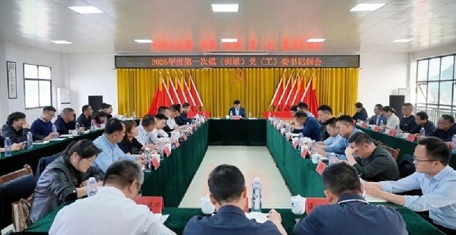 王启武主持召开2026年第一次镇（街道）党（工）委书记例会