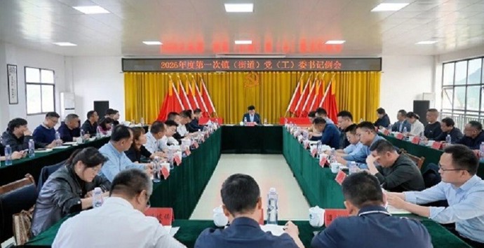 王启武主持召开2026年第一次镇（街道）党（工）委书记例会