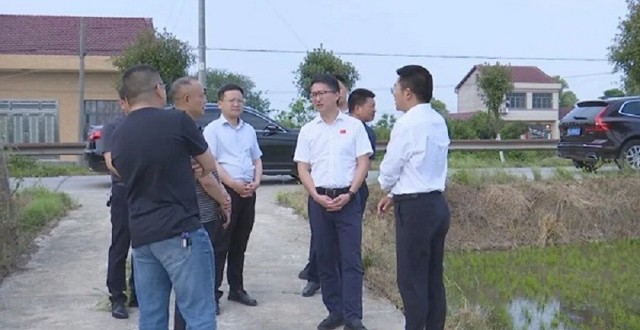 冷亮调研粮食生产工作