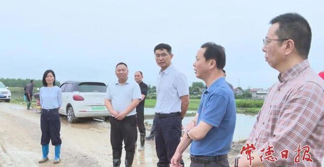 王启武调度涔水流域防汛工作