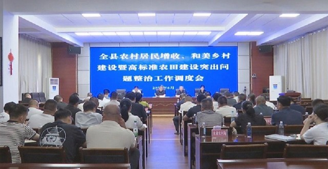 澧县召开农村居民增收、和美乡村建设暨高标准农田建设突出问题整治工作调度会