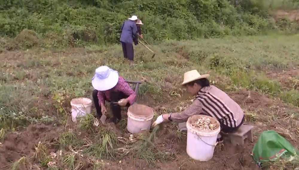 微信图片_20260617105048_138_6