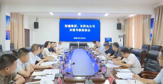 财鑫集团、市供电公司来澧考察
