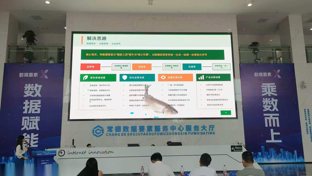 图片12