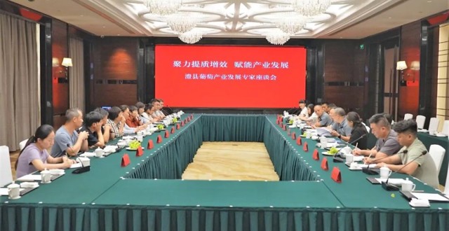 澧县第二十一届葡萄节 | “聚力提质增效 赋能产业发展” 葡萄产业发展专家座谈会召开