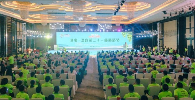 澧县第二十一届葡萄节 | 2026年澧县第二十一届葡萄节盛大启幕