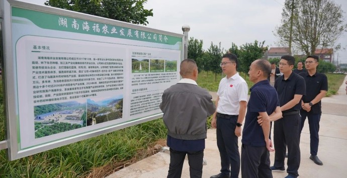 冷亮督导生态环境保护工作并开展巡林